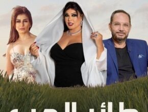 مسلسل طائر الحب