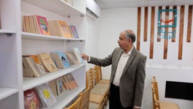 محافظ المنيا