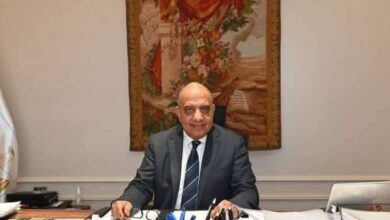 الدكتور محمود عصمت