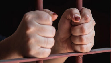 القبض على عمانية بحوزتها مخدر ماجيك مشروم