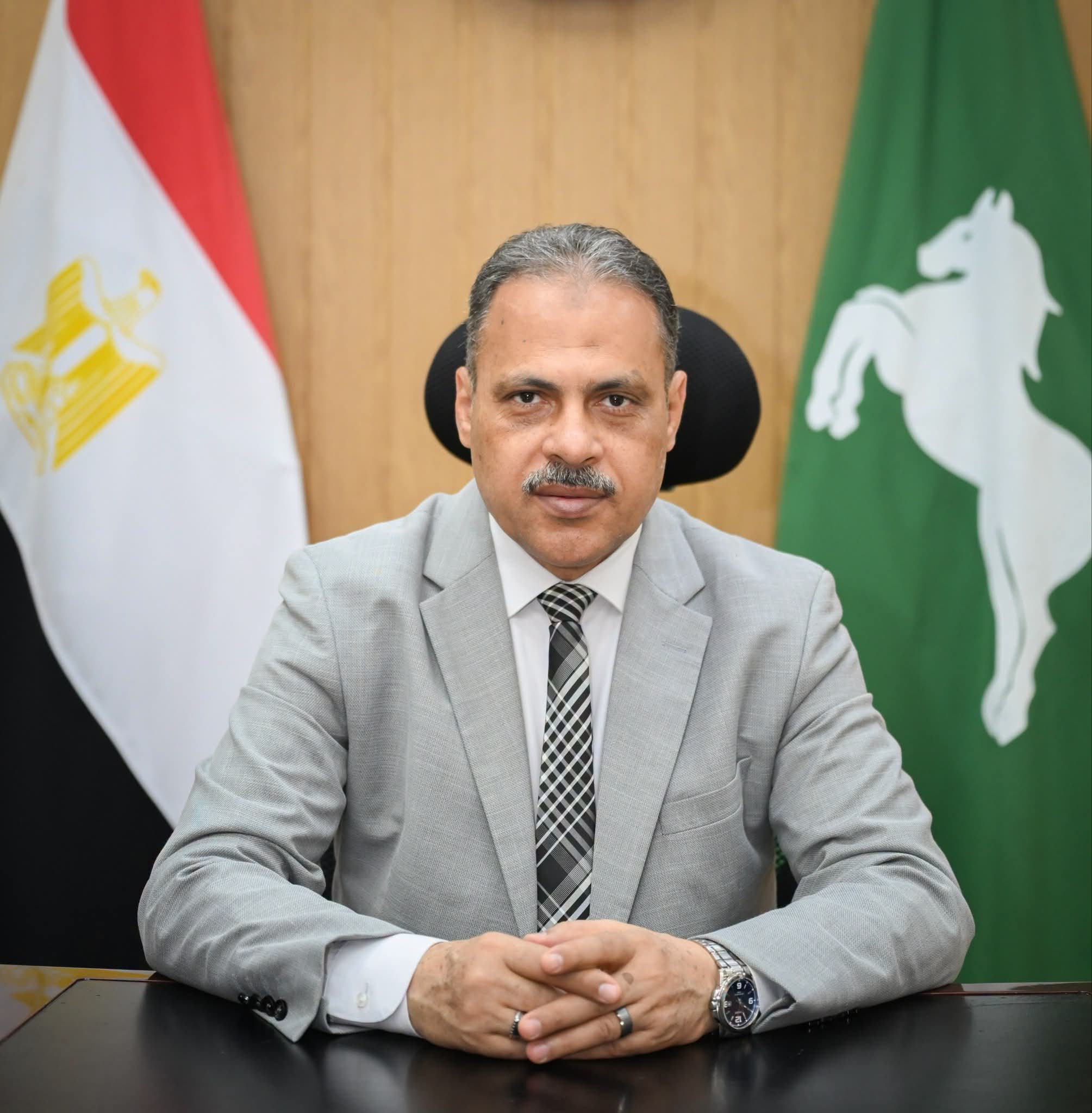 محافظ الشرقية