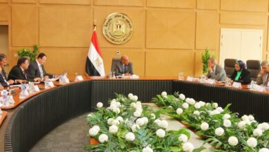 وزير الكهرباء