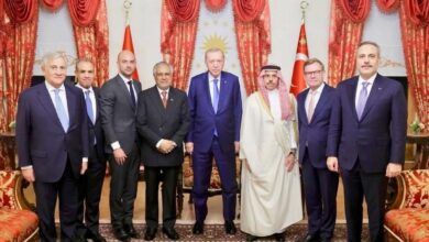وزير الخارجية يلتقي أردوغان