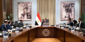 الاستثمار الأجنبي المباشر في مصر