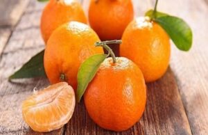 تناول اليوسفي يوميا